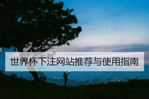 世界杯下注网站推荐与使用指南