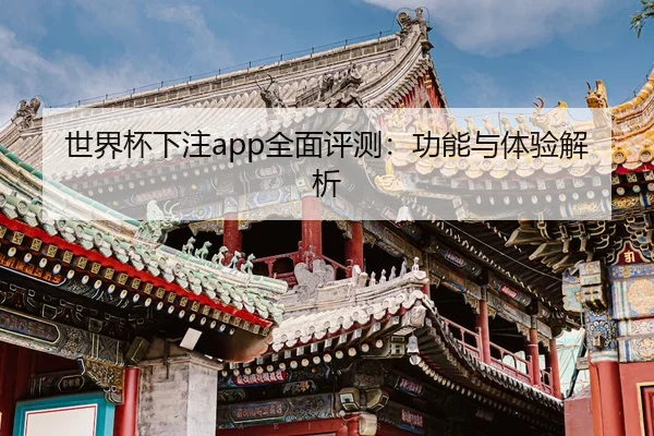 世界杯下注app全面评测：功能与体验解析