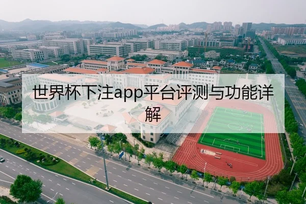 世界杯下注app平台评测与功能详解
