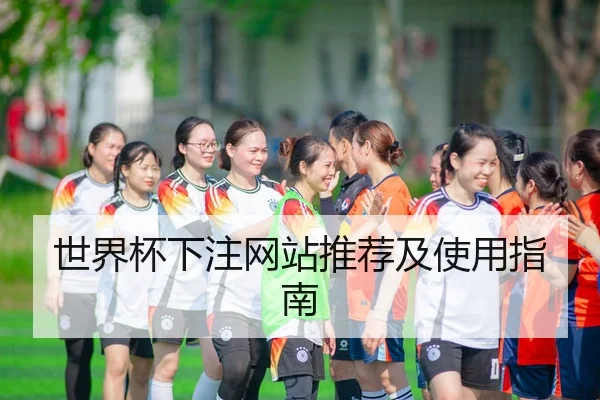 世界杯下注网站推荐及使用指南