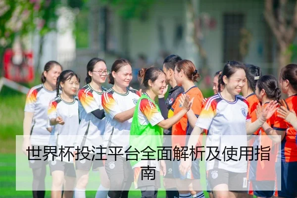 世界杯投注平台全面解析及使用指南