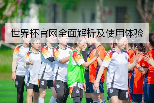 世界杯官网全面解析及使用体验