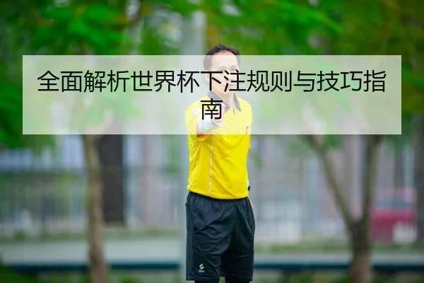 全面解析世界杯下注规则与技巧指南