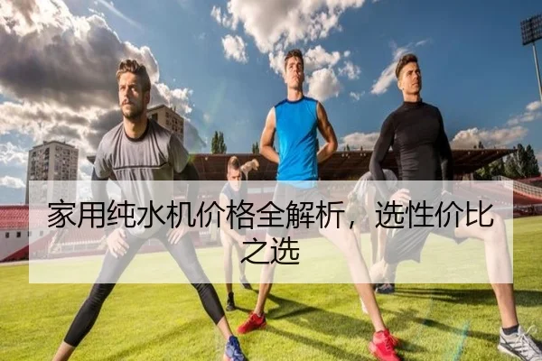 家用纯水机价格全解析，选性价比之选